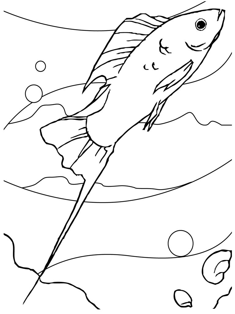 Colorful Fish Coloring Pages Printable 34