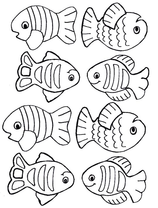 Colorful Fish Coloring Pages Printable 4