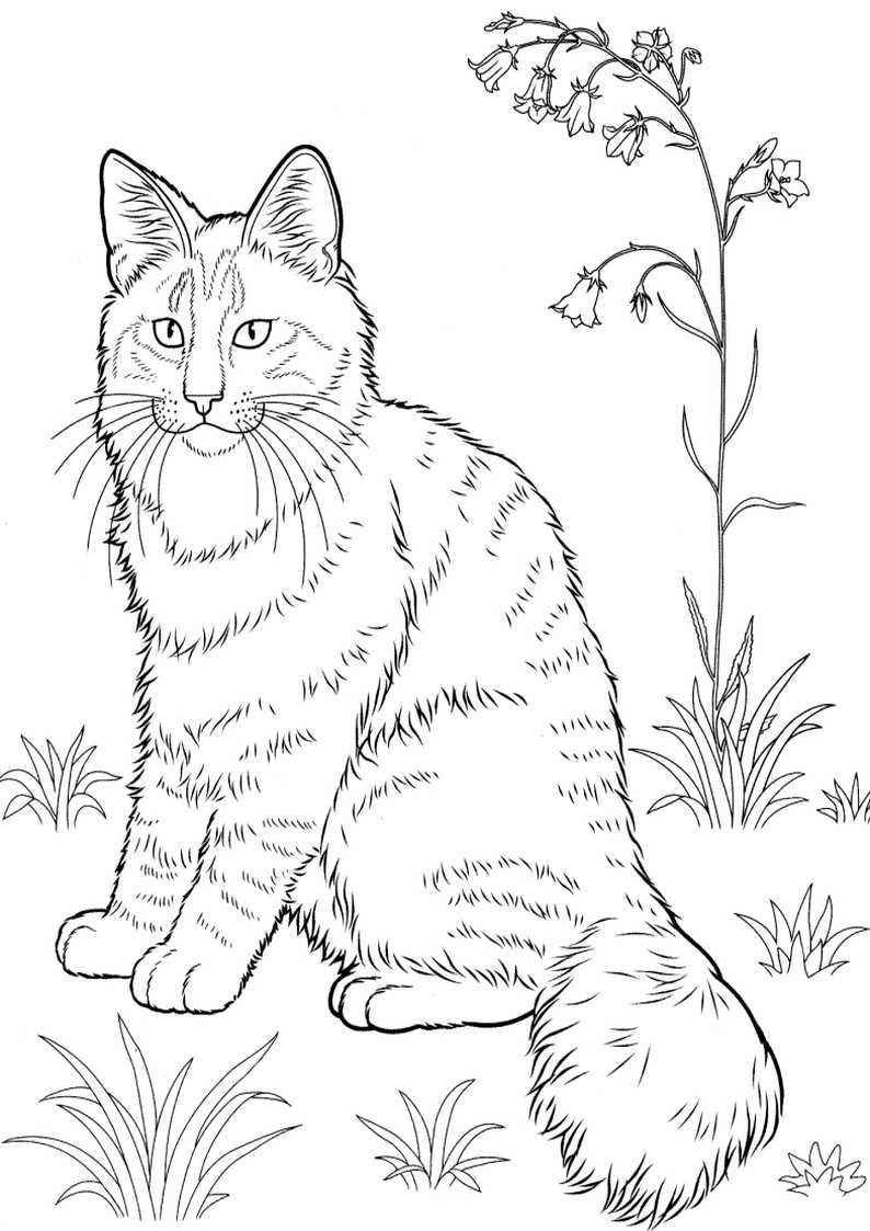 Dog And Cat Coloring Pages Printable Friends 16