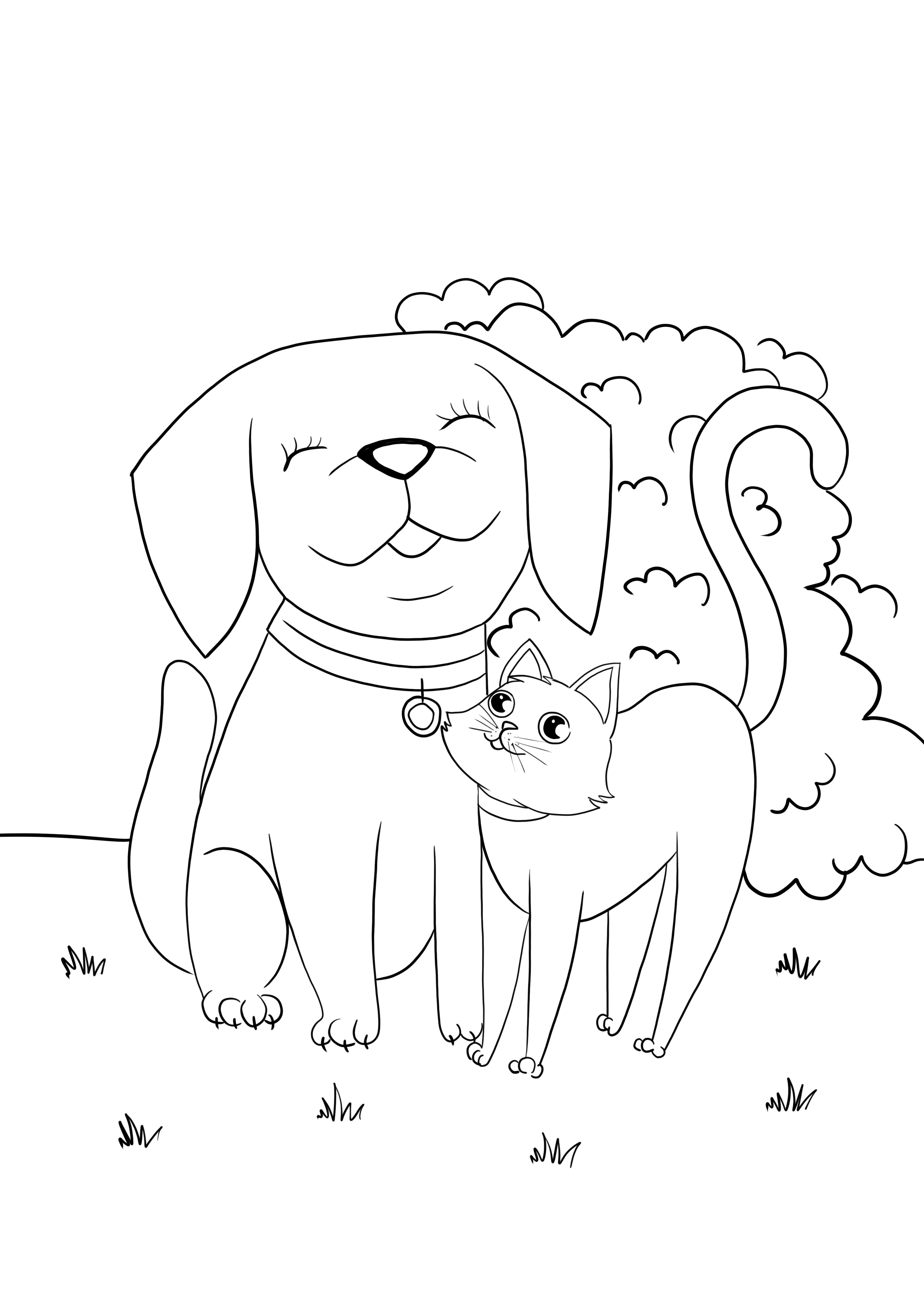 Dog And Cat Coloring Pages Printable Friends 27