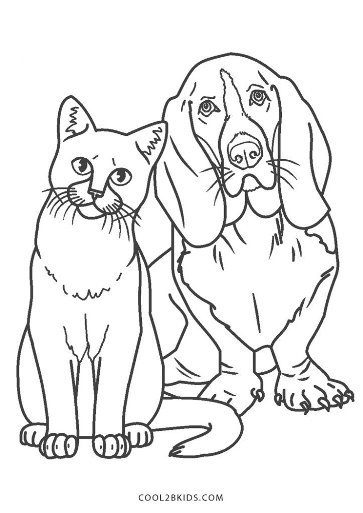 Dog And Cat Coloring Pages Printable Friends 4