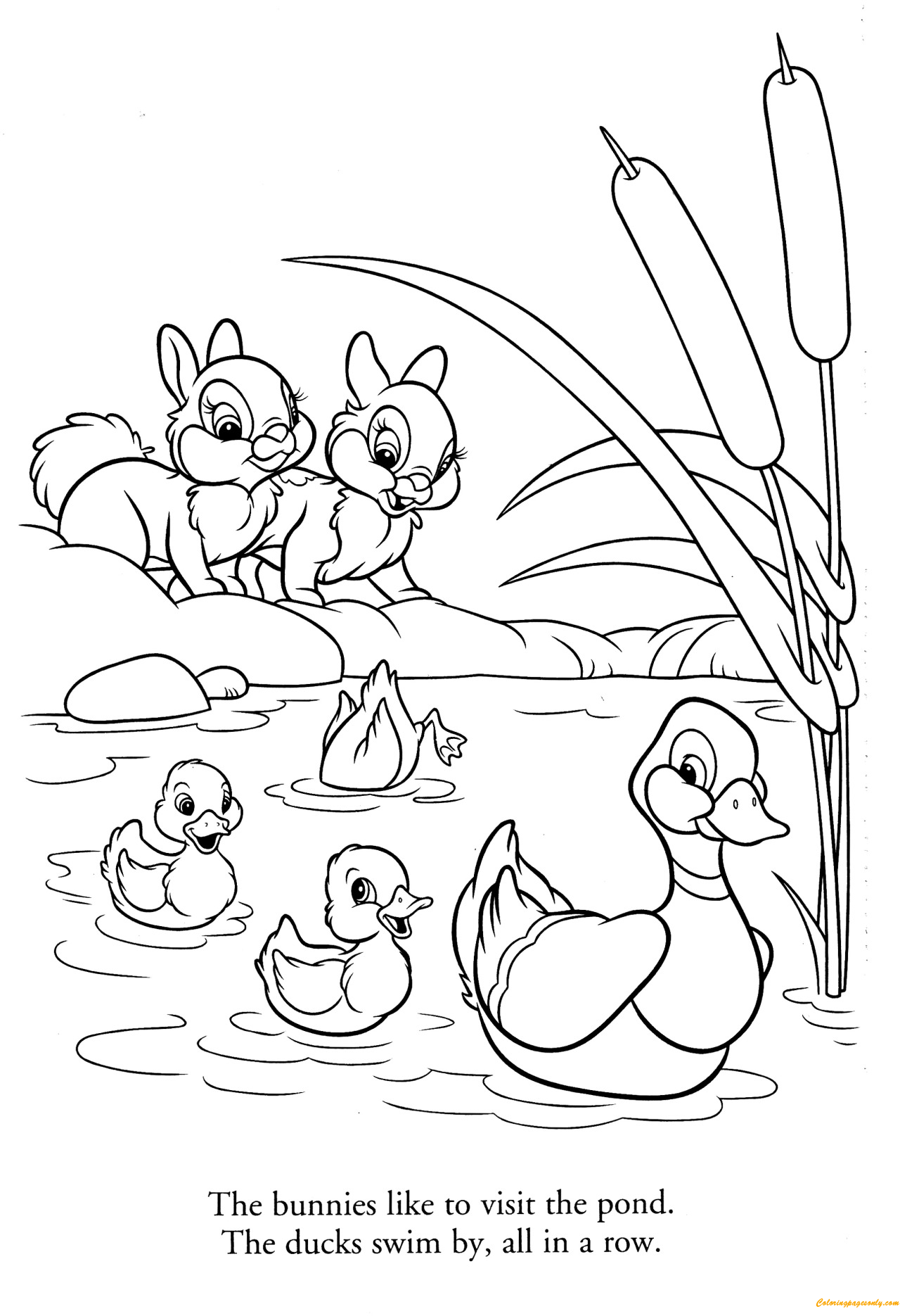 Quacky Duck Coloring Pages Printable 10