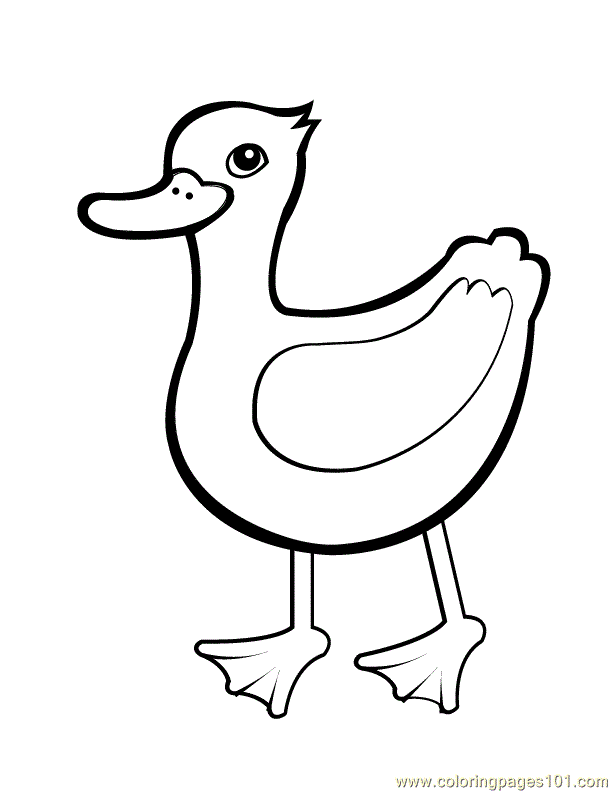 Quacky Duck Coloring Pages Printable 12