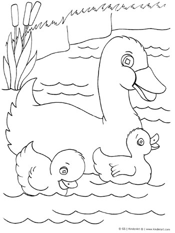 Quacky Duck Coloring Pages Printable 16