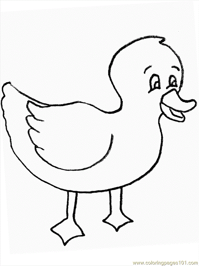 quacky duck coloring pages printable jpg