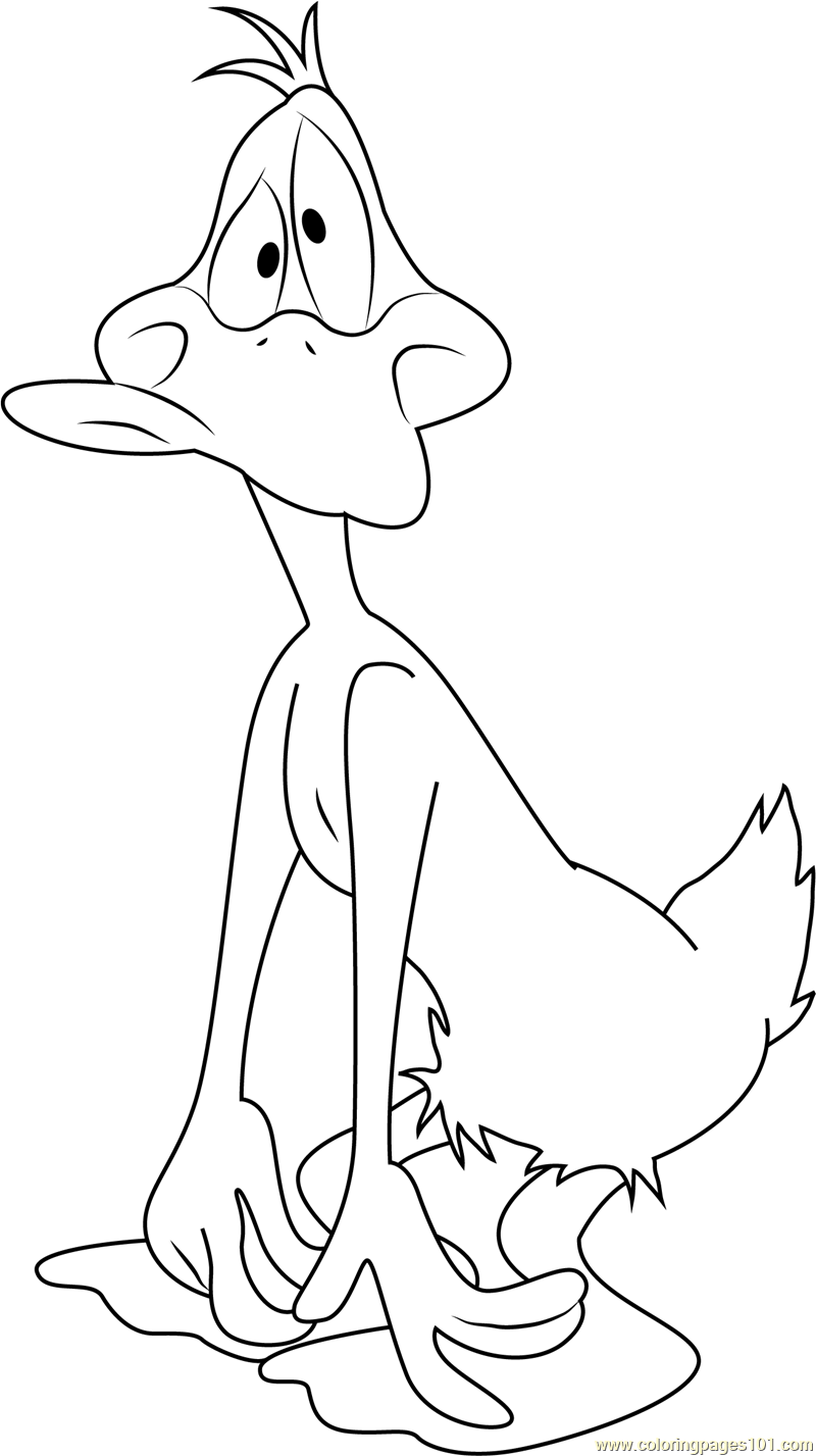 quacky duck coloring pages printable jpg