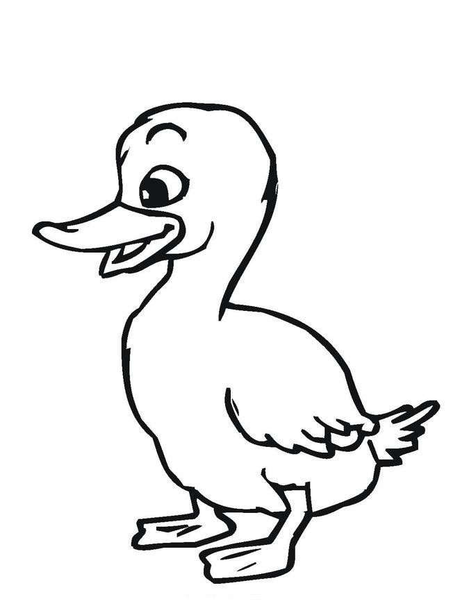 Quacky Duck Coloring Pages Printable 23