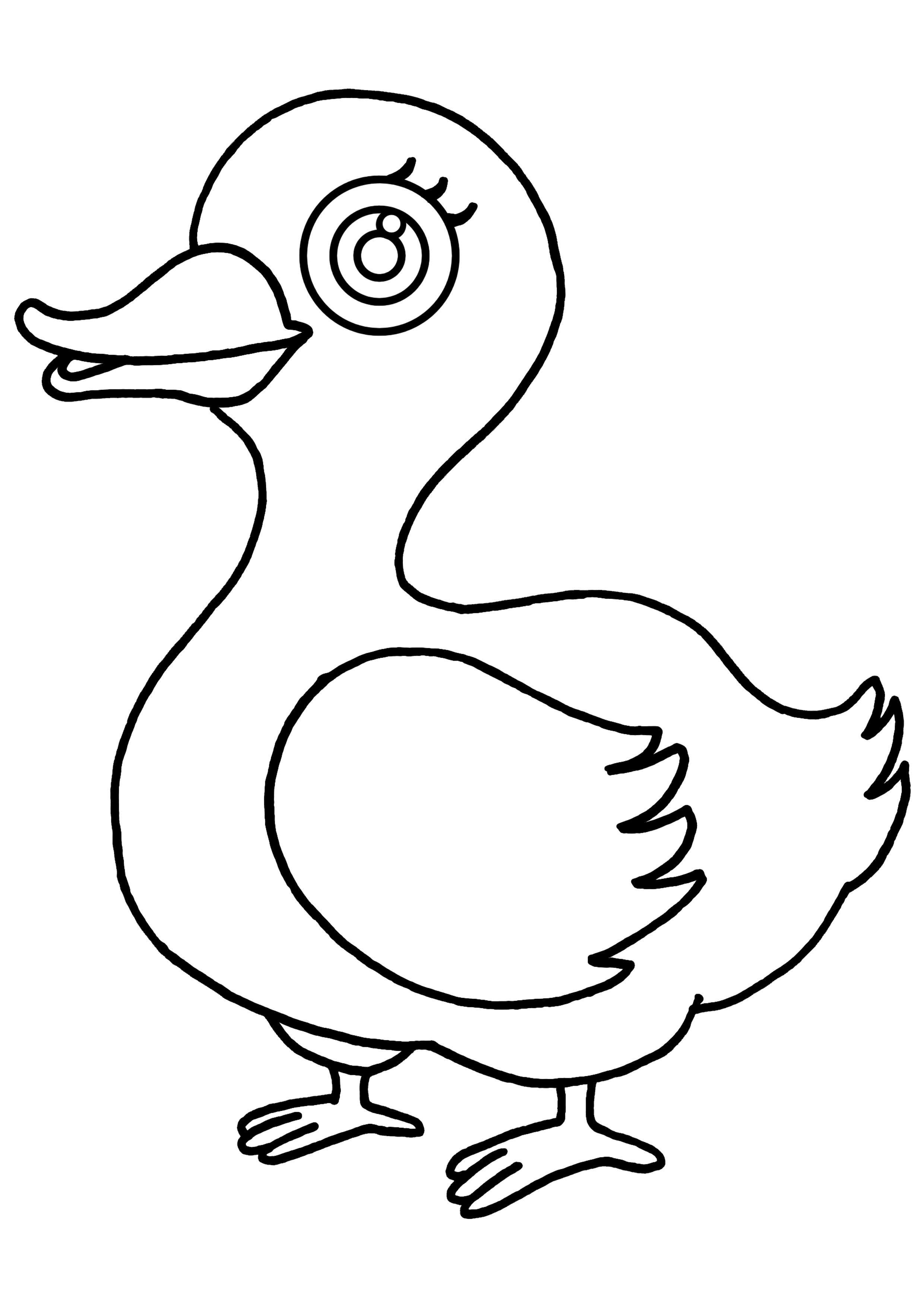 Quacky Duck Coloring Pages Printable 24