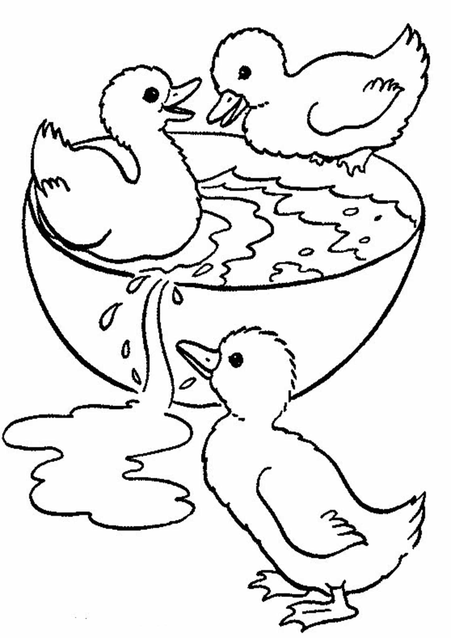 Quacky Duck Coloring Pages Printable 26