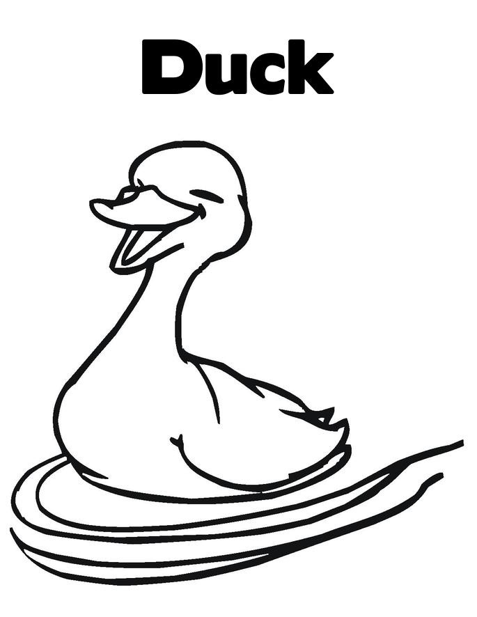 Quacky Duck Coloring Pages Printable 8