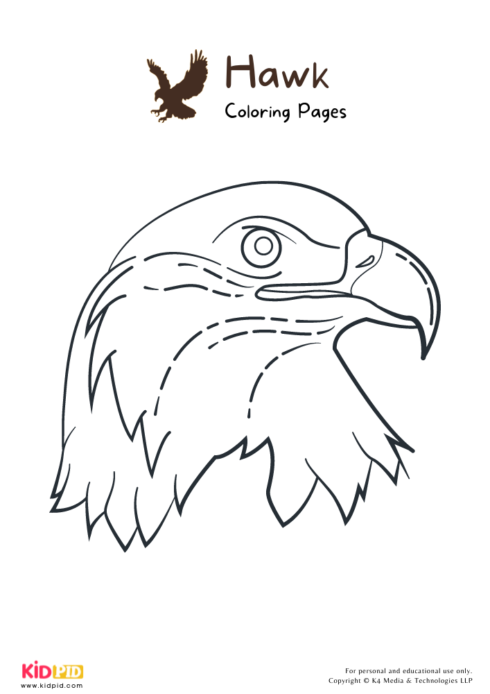 Soaring Hawk Animals Coloring Pages Printable 12