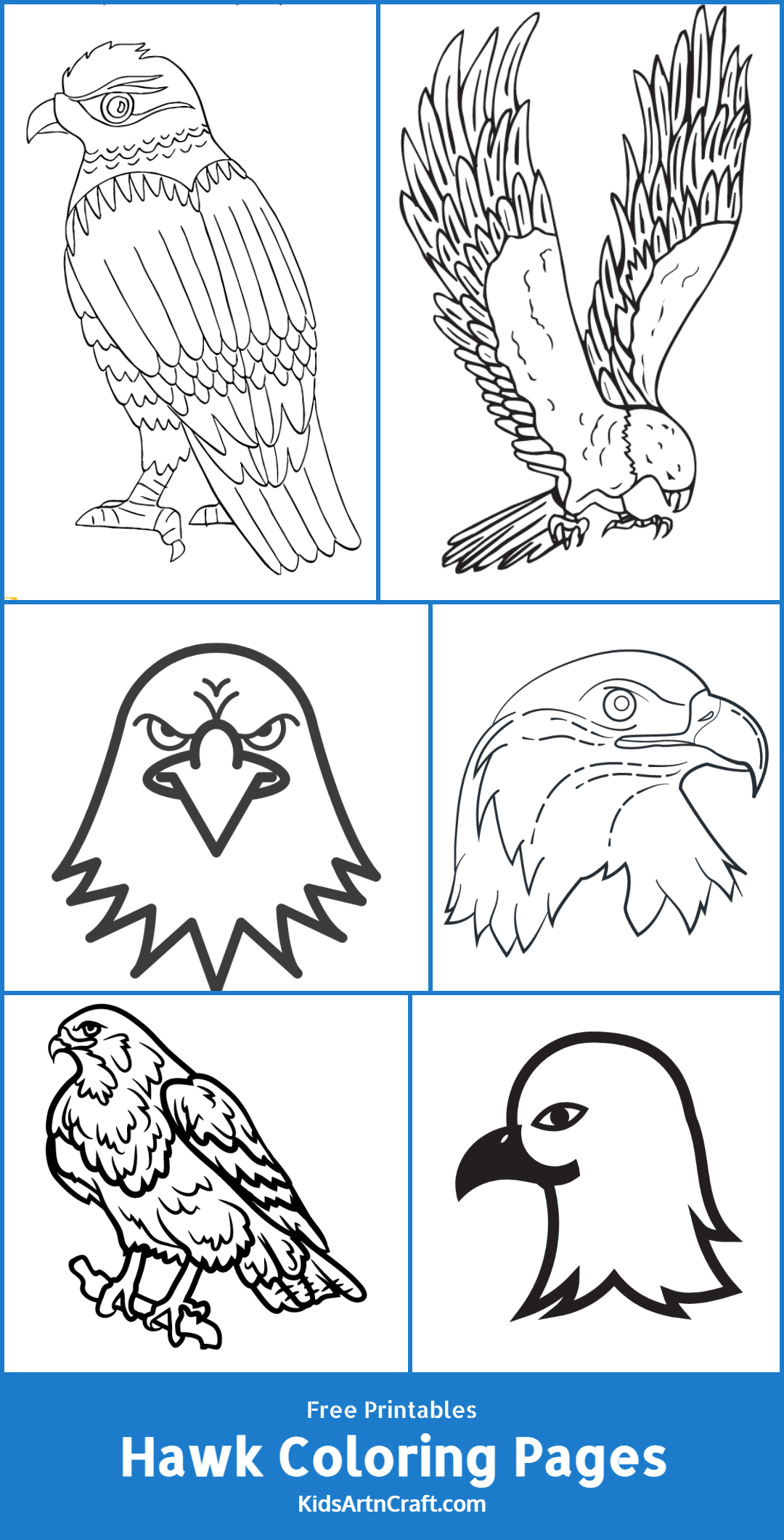 Soaring Hawk Animals Coloring Pages Printable 13