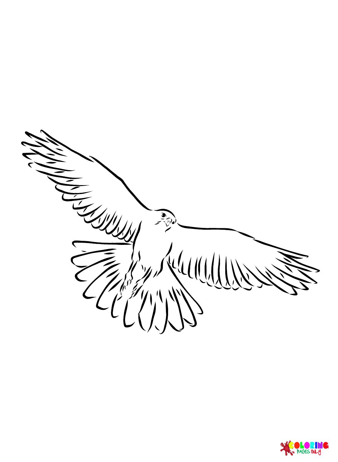 Soaring Hawk Animals Coloring Pages Printable 16