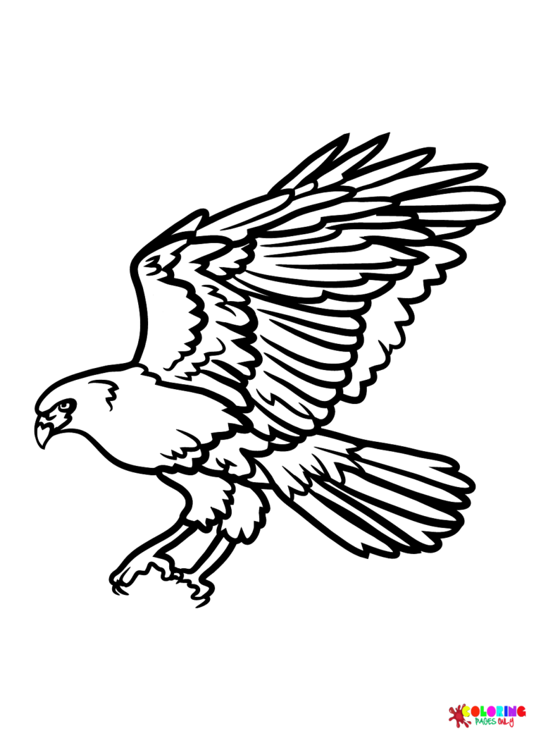 Soaring Hawk Animals Coloring Pages Printable 22