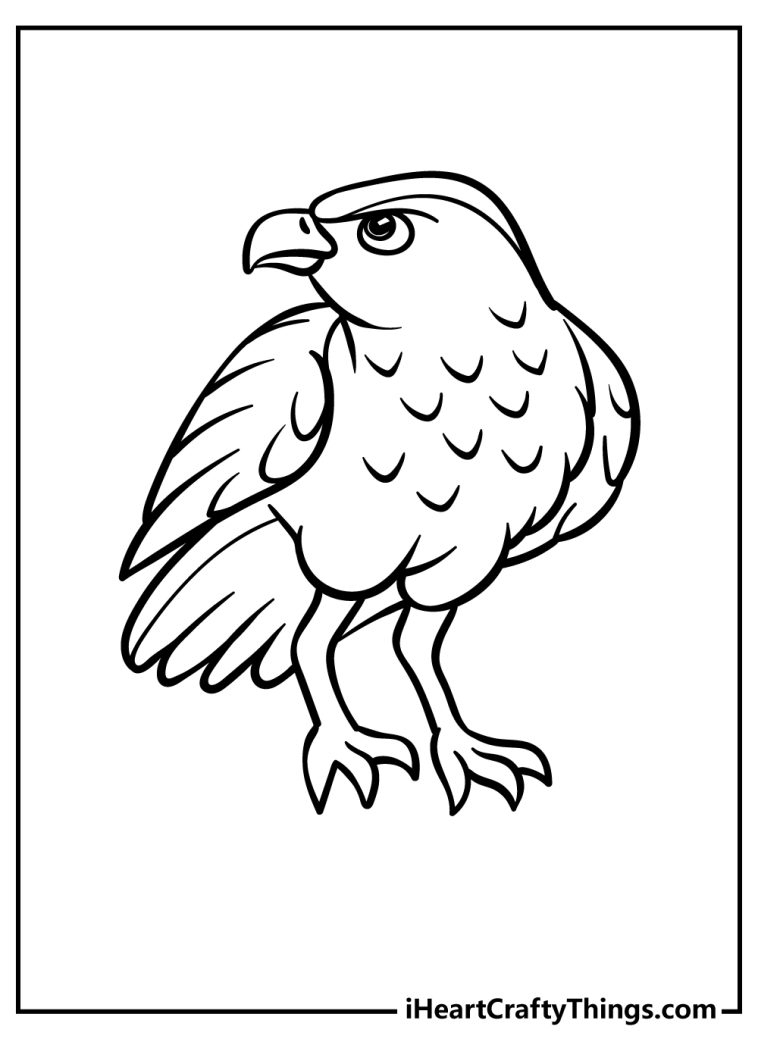 Soaring Hawk Animals Coloring Pages Printable 26