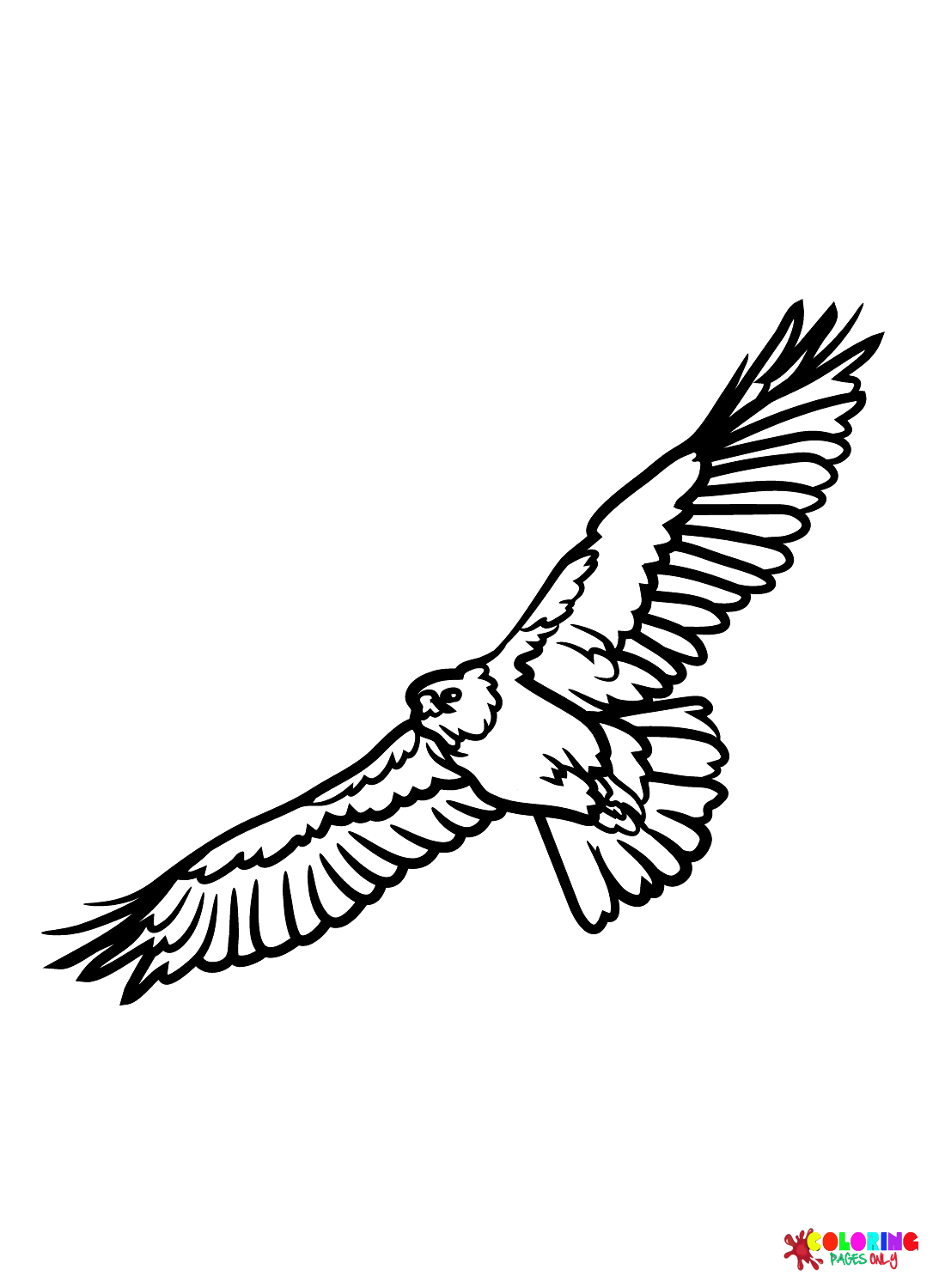 Soaring Hawk Animals Coloring Pages Printable 27