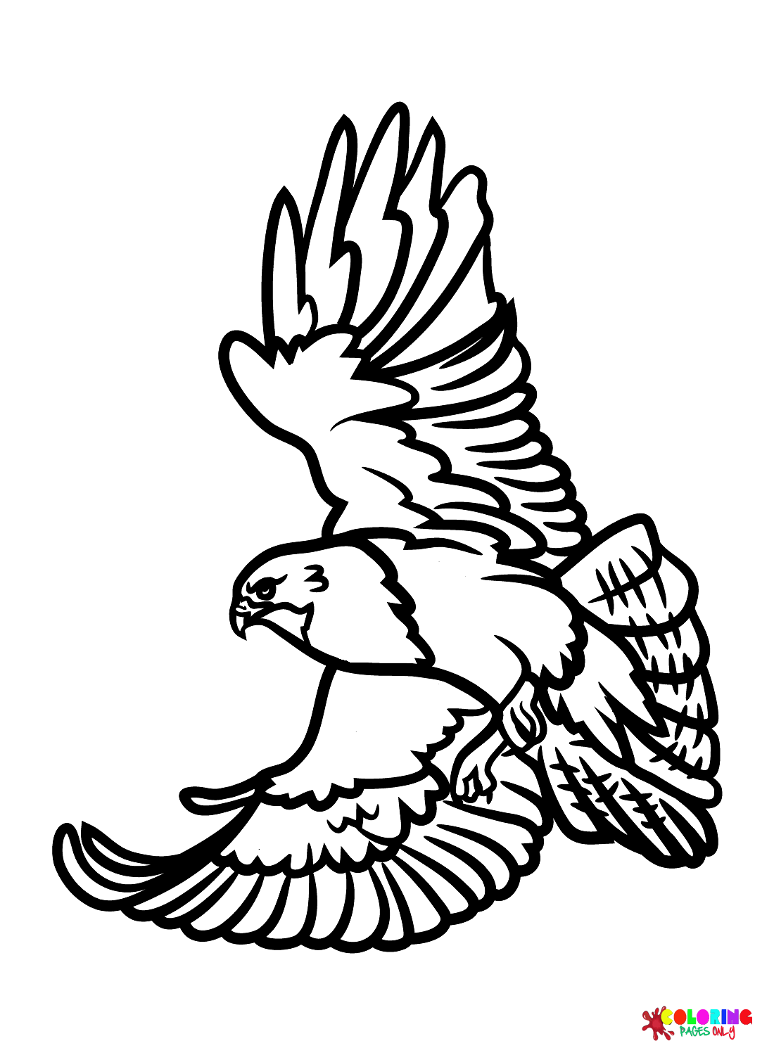 Soaring Hawk Animals Coloring Pages Printable 3