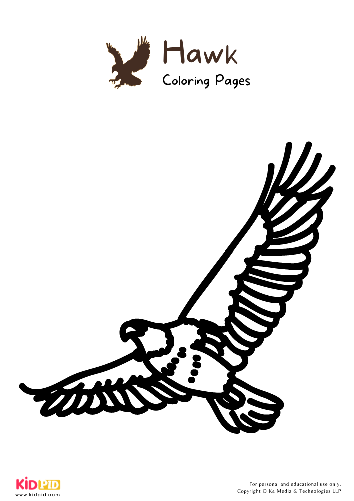 Soaring Hawk Animals Coloring Pages Printable 9