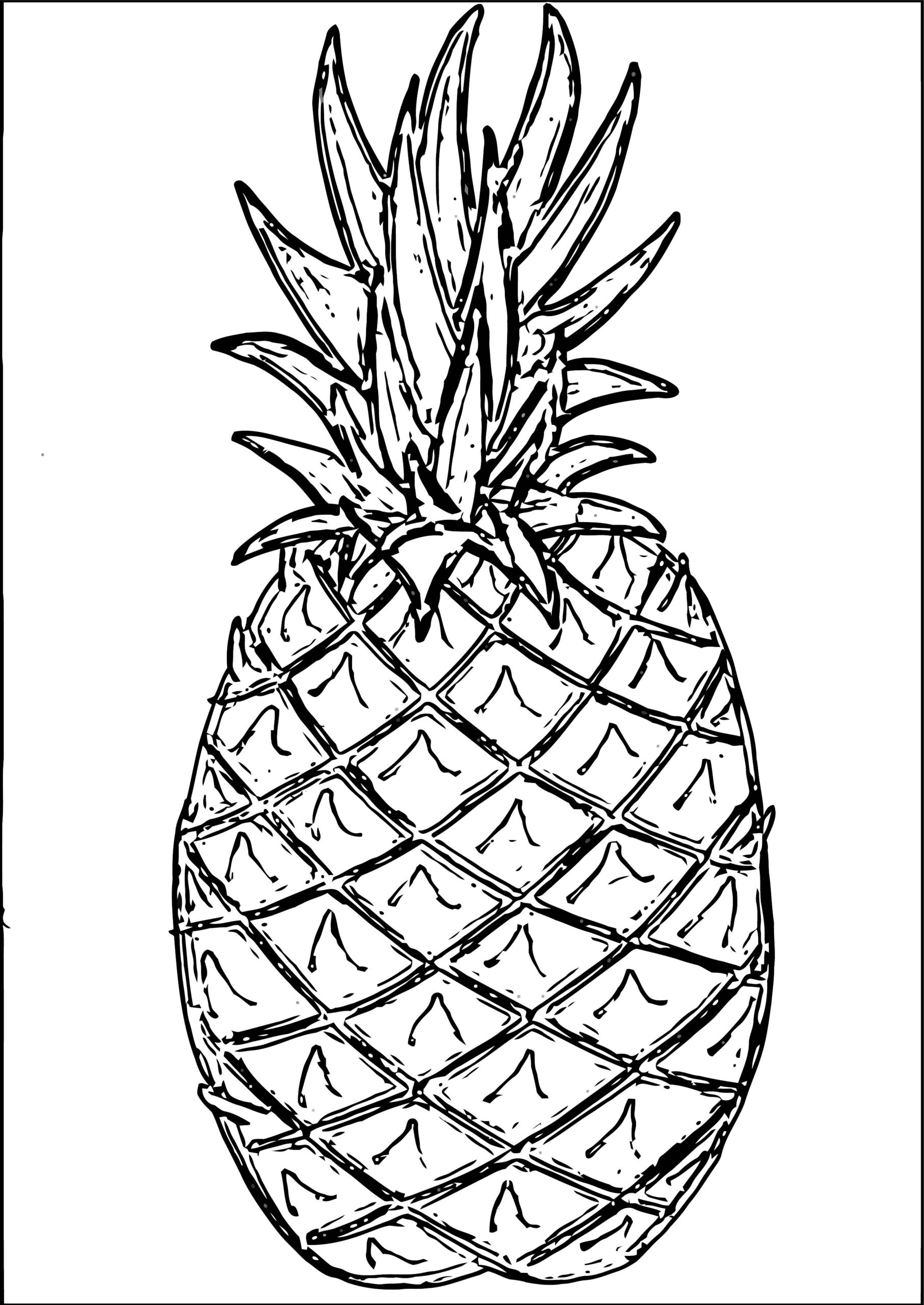 Tropical Pineapple Coloring Pages Printable 13