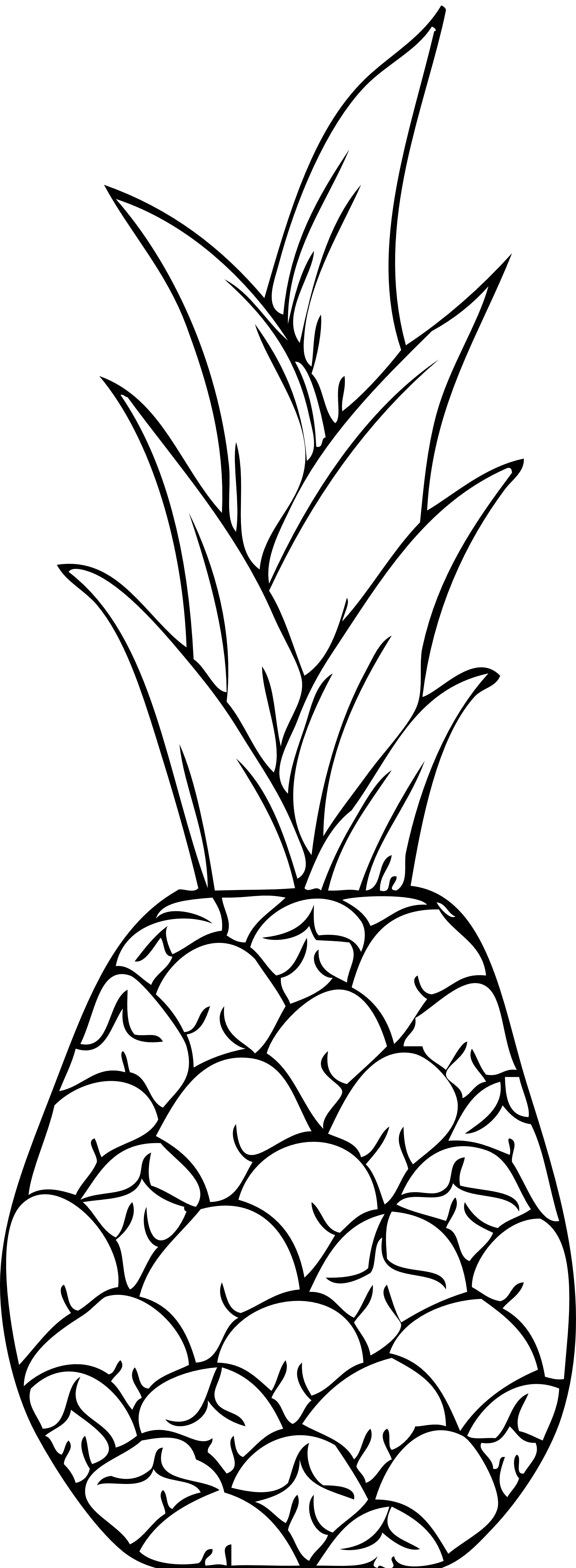 Tropical Pineapple Coloring Pages Printable 15