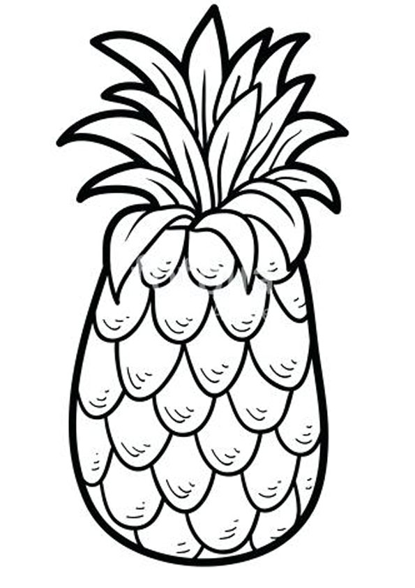 Tropical Pineapple Coloring Pages Printable 17