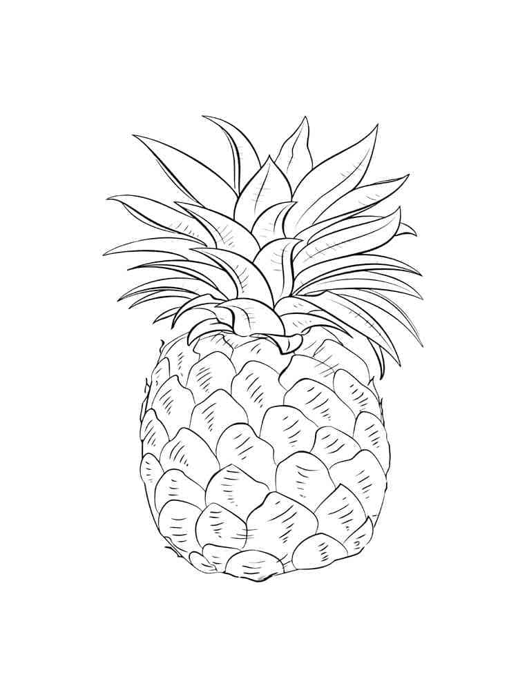 Tropical Pineapple Coloring Pages Printable 20