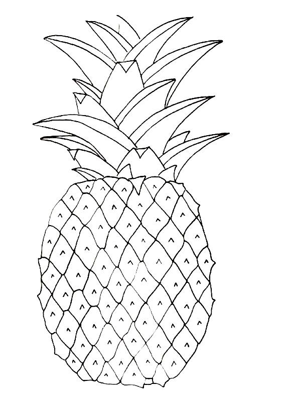 Tropical Pineapple Coloring Pages Printable 22