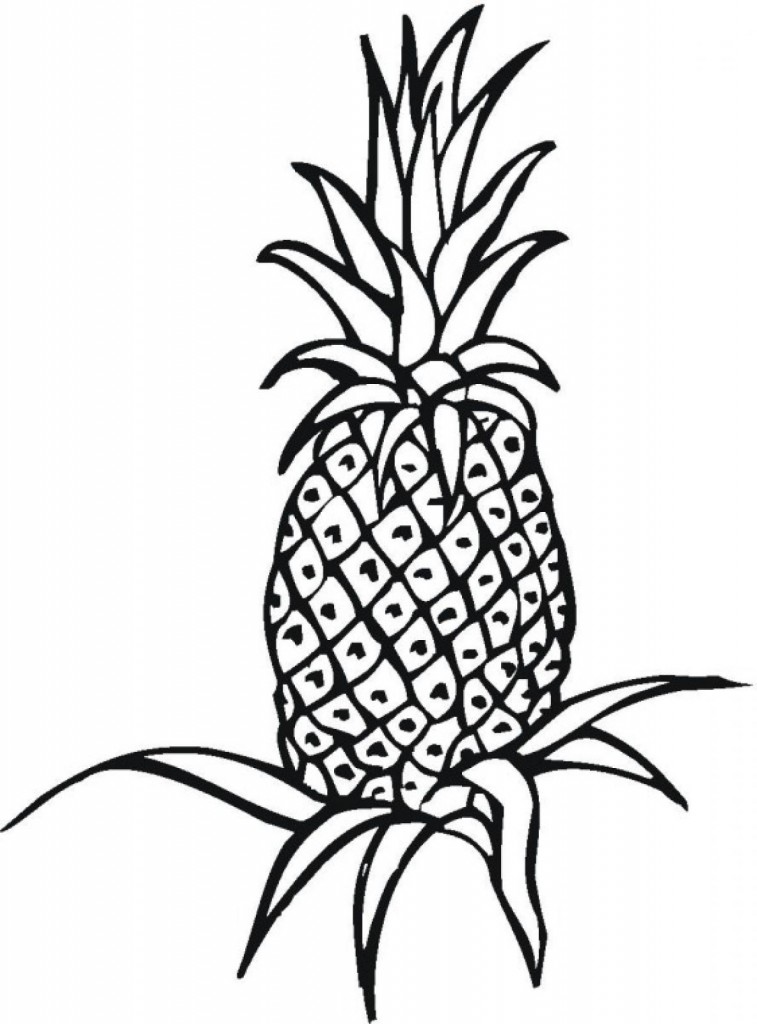 Tropical Pineapple Coloring Pages Printable 28