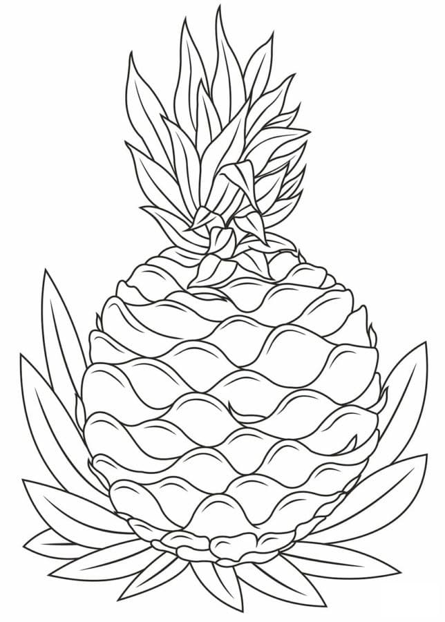 Tropical Pineapple Coloring Pages Printable 29