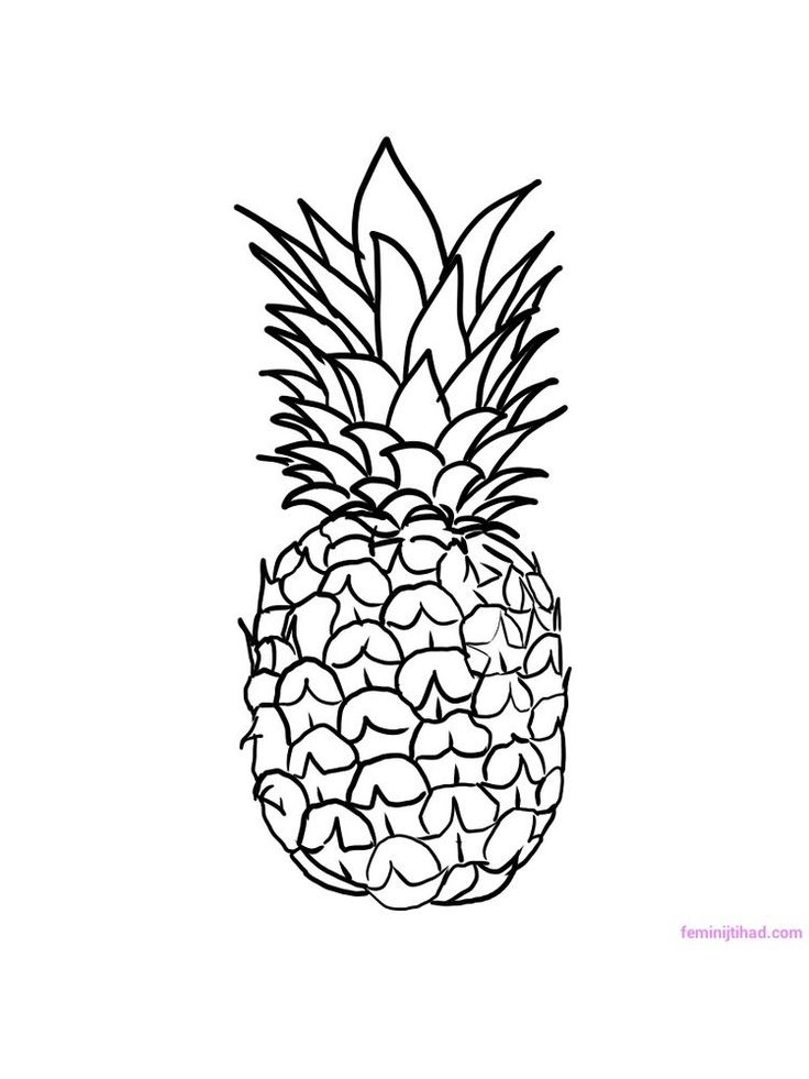 Tropical Pineapple Coloring Pages Printable 31