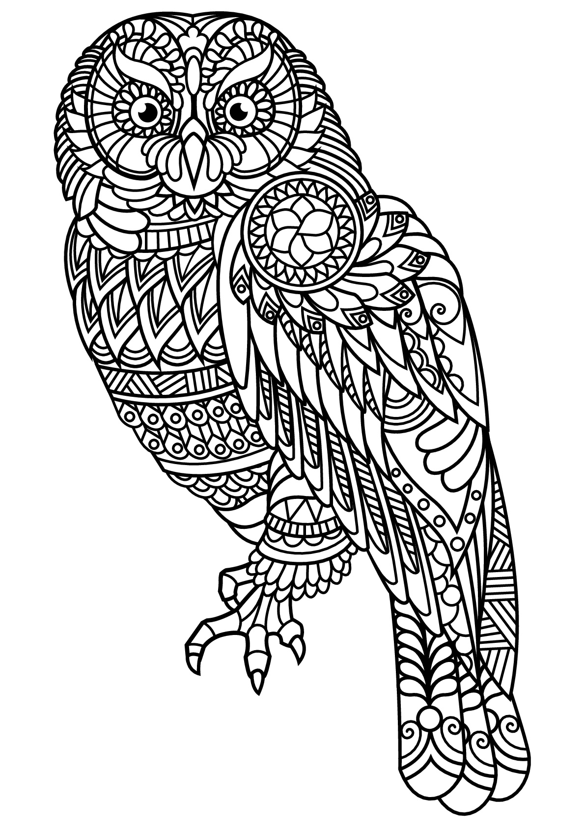 Wise Owl Coloring Pages Printable Wisdom 17