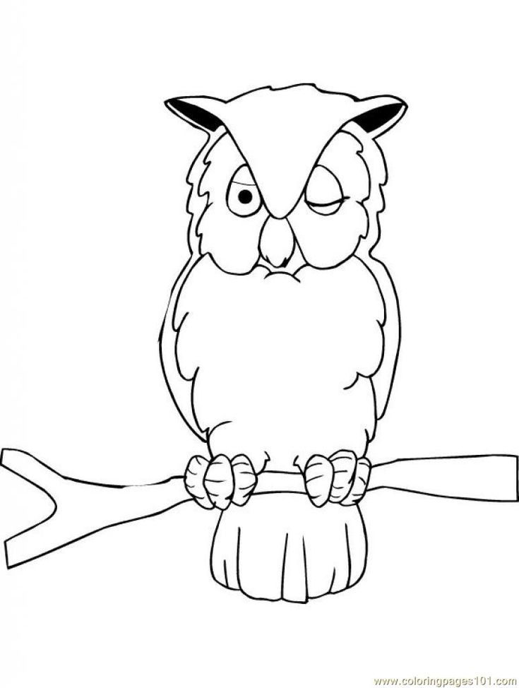 Wise Owl Coloring Pages Printable Wisdom 22