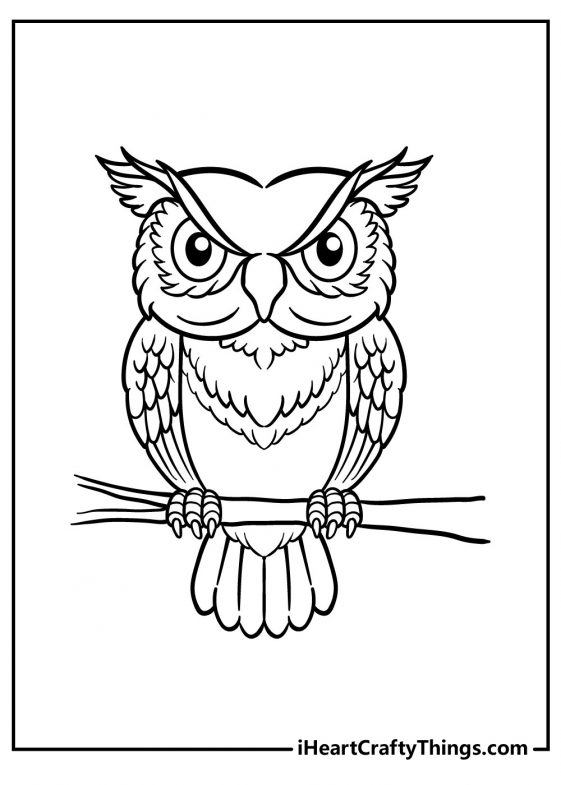 Wise Owl Coloring Pages Printable Wisdom 25