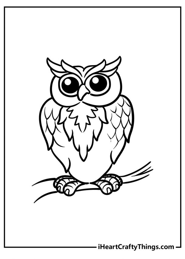 Wise Owl Coloring Pages Printable Wisdom 26