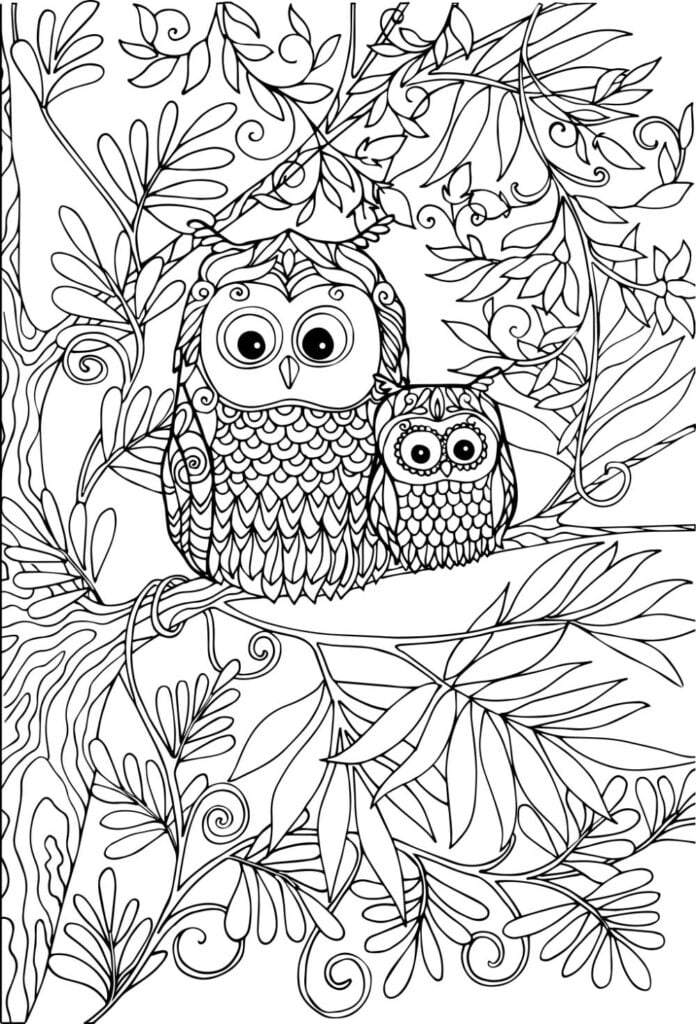 Wise Owl Coloring Pages Printable Wisdom 31