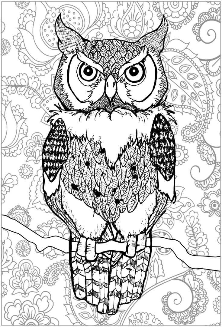 Wise Owl Coloring Pages Printable Wisdom 5