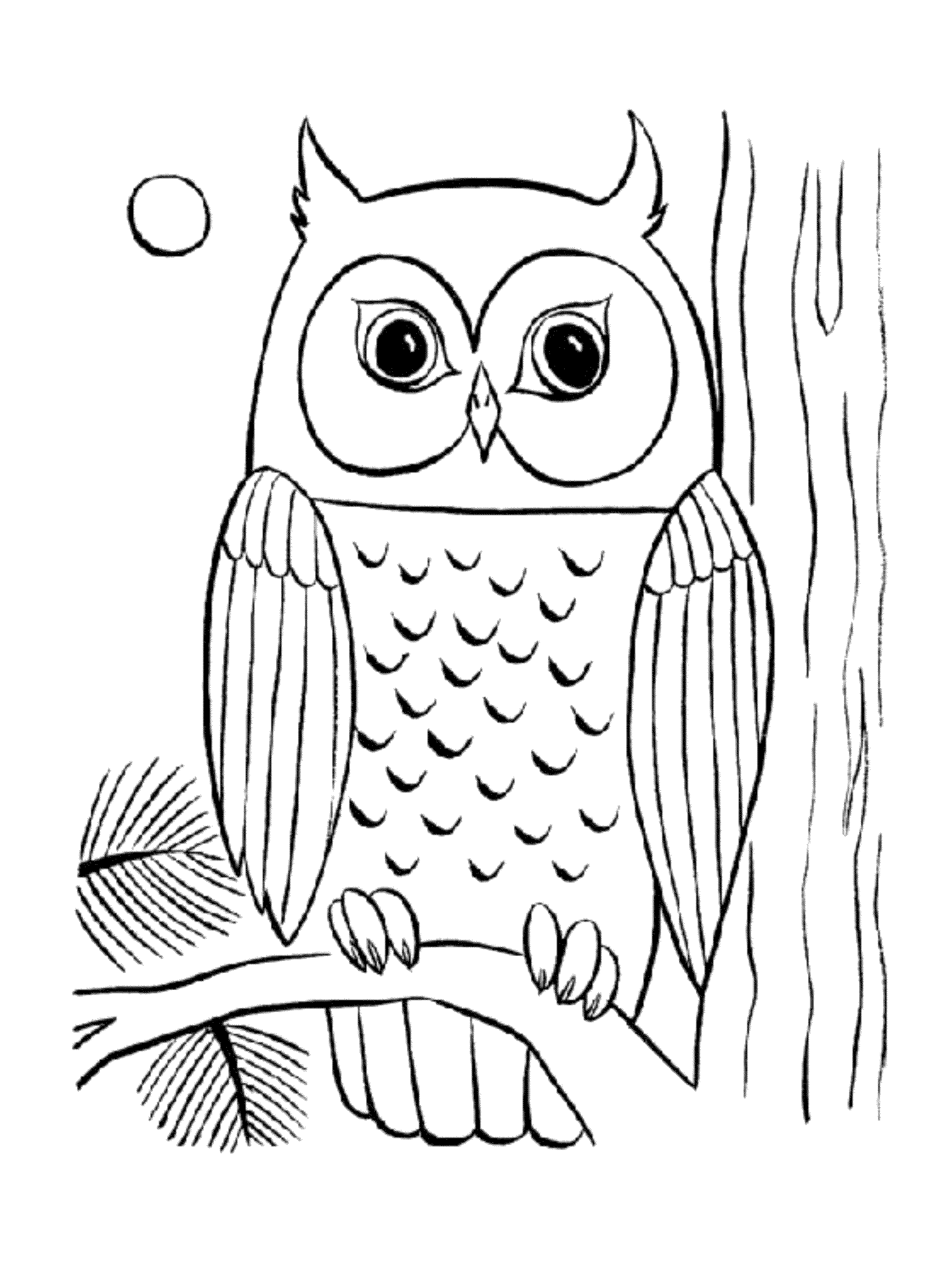 Wise Owl Coloring Pages Printable Wisdom 7