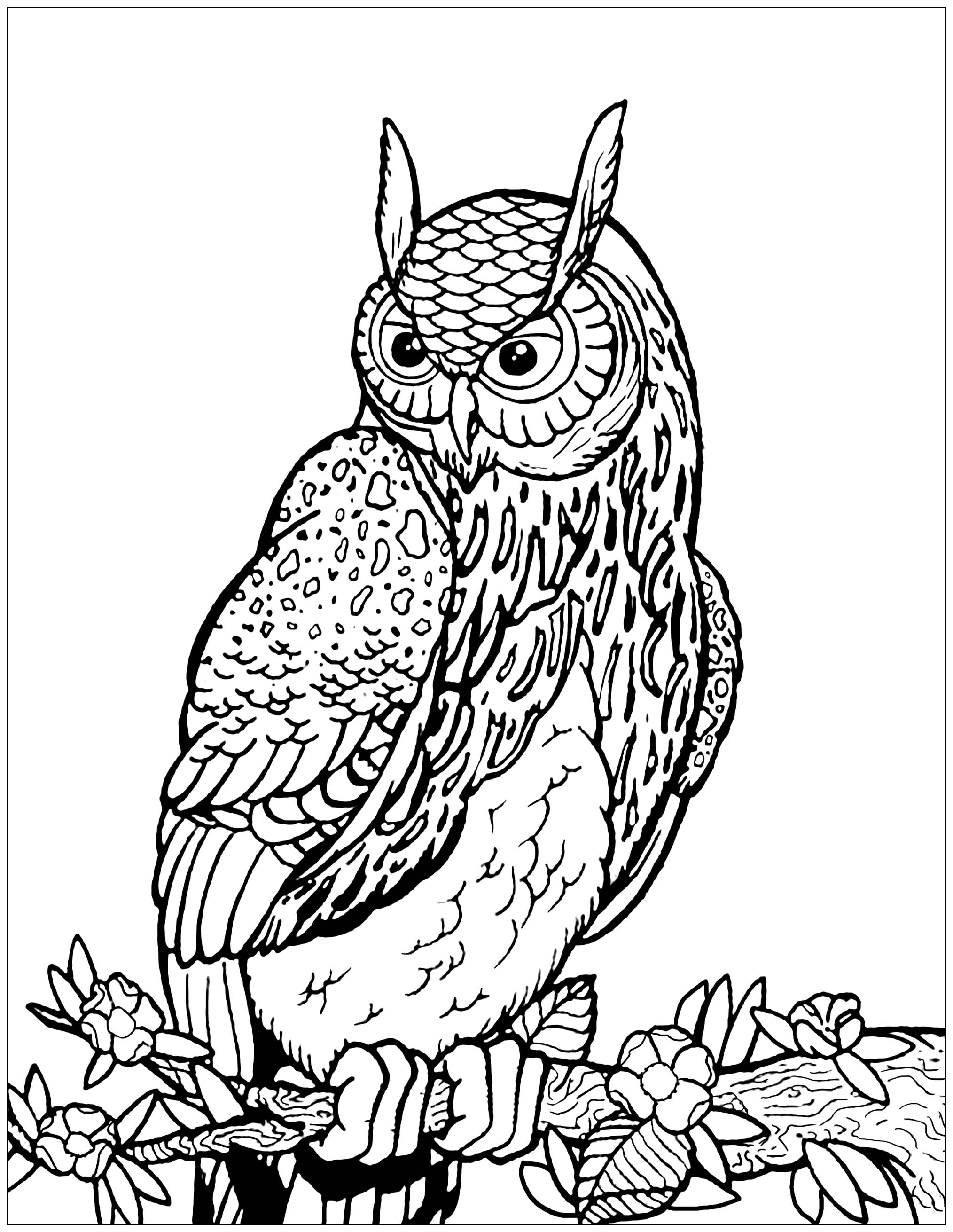 Wise Owl Coloring Pages Printable Wisdom 9