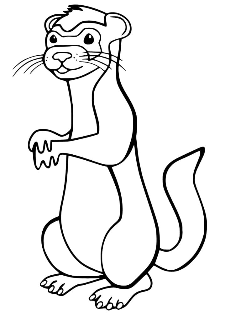 29 Rare Ferret Coloring Page Printable 10