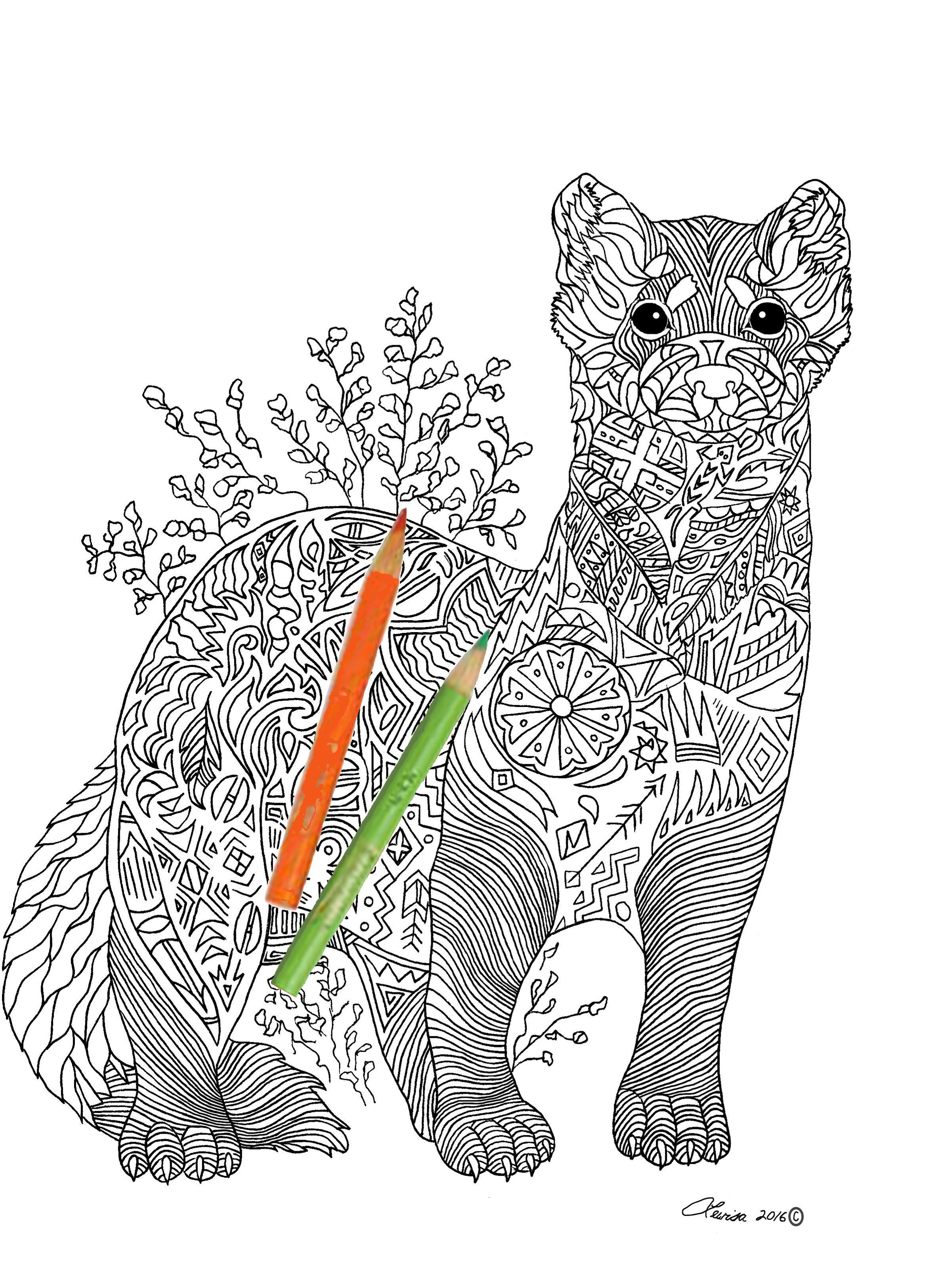 29 Rare Ferret Coloring Page Printable 12