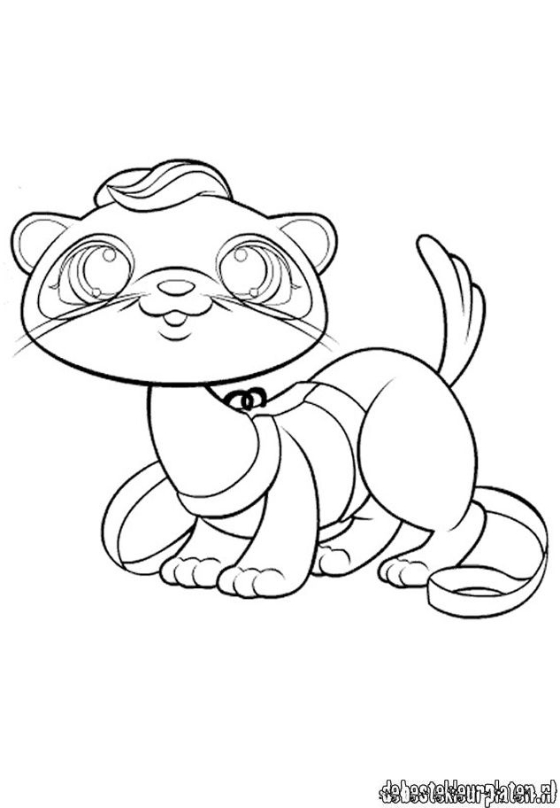 29 Rare Ferret Coloring Page Printable 20