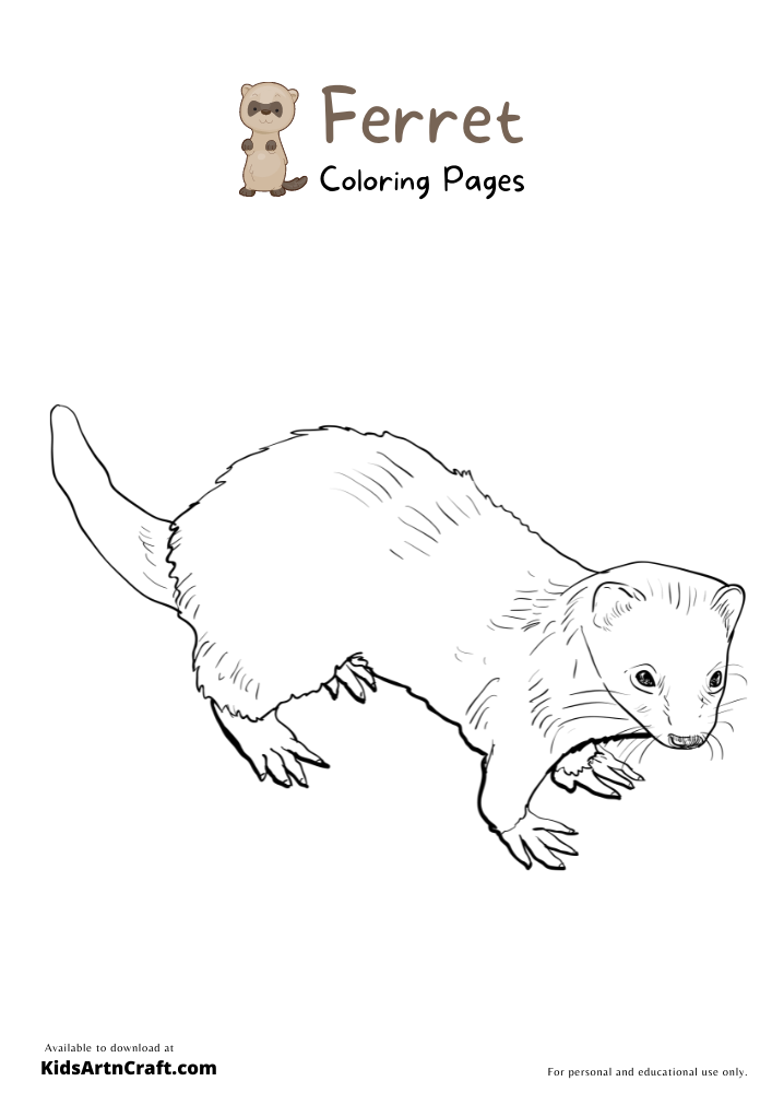 29 Rare Ferret Coloring Page Printable 25