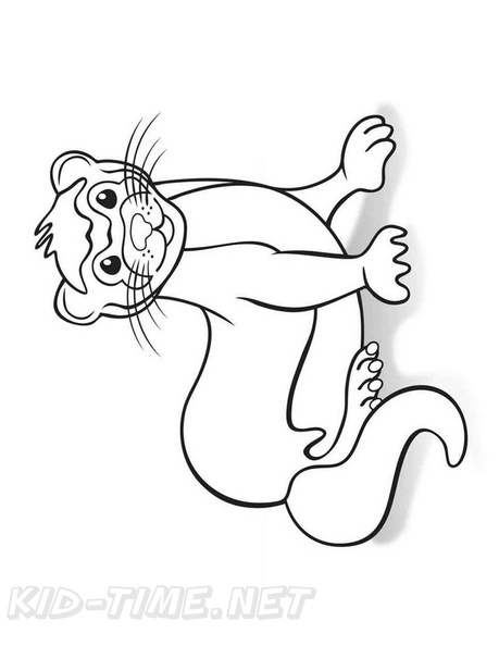 29 Rare Ferret Coloring Page Printable 27