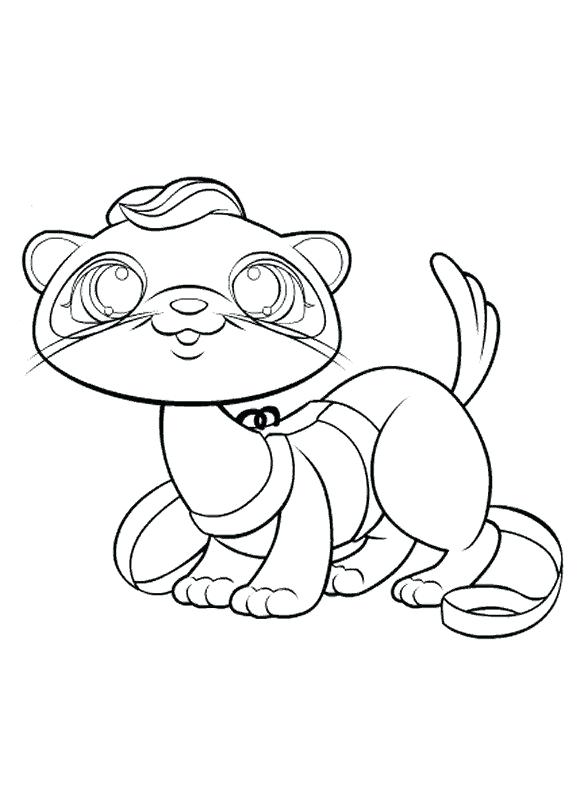 29 Rare Ferret Coloring Page Printable 3