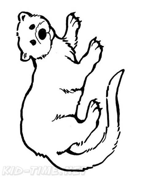 29 Rare Ferret Coloring Page Printable 32