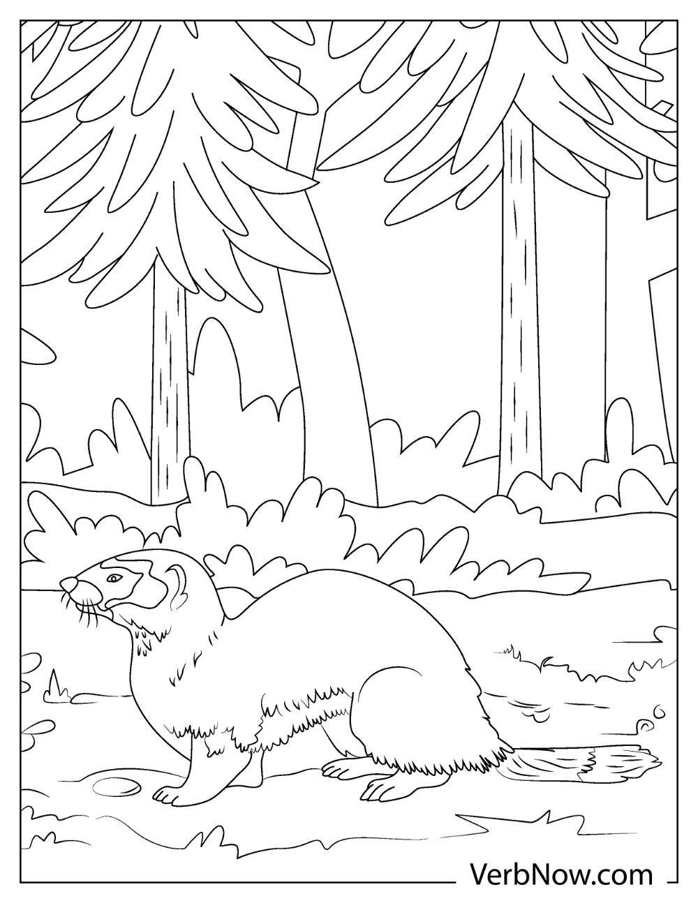 29 Rare Ferret Coloring Page Printable 8