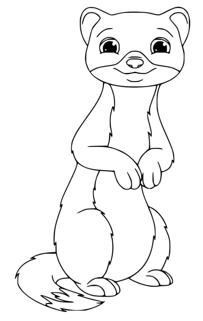 29 Rare Ferret Coloring Page Printable 9