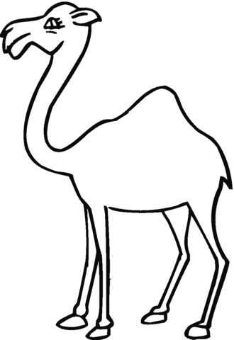 31 Exotic Camel Coloring Pages Printable 11