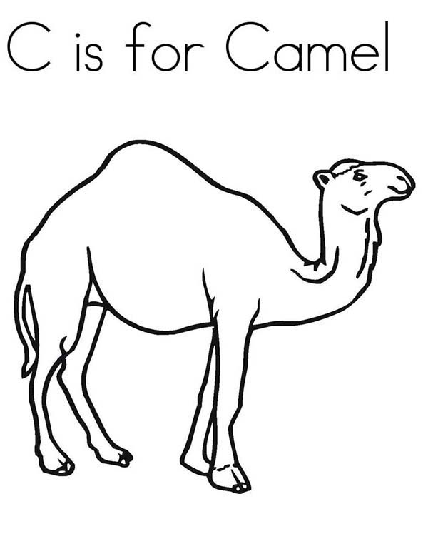 31 Exotic Camel Coloring Pages Printable 18