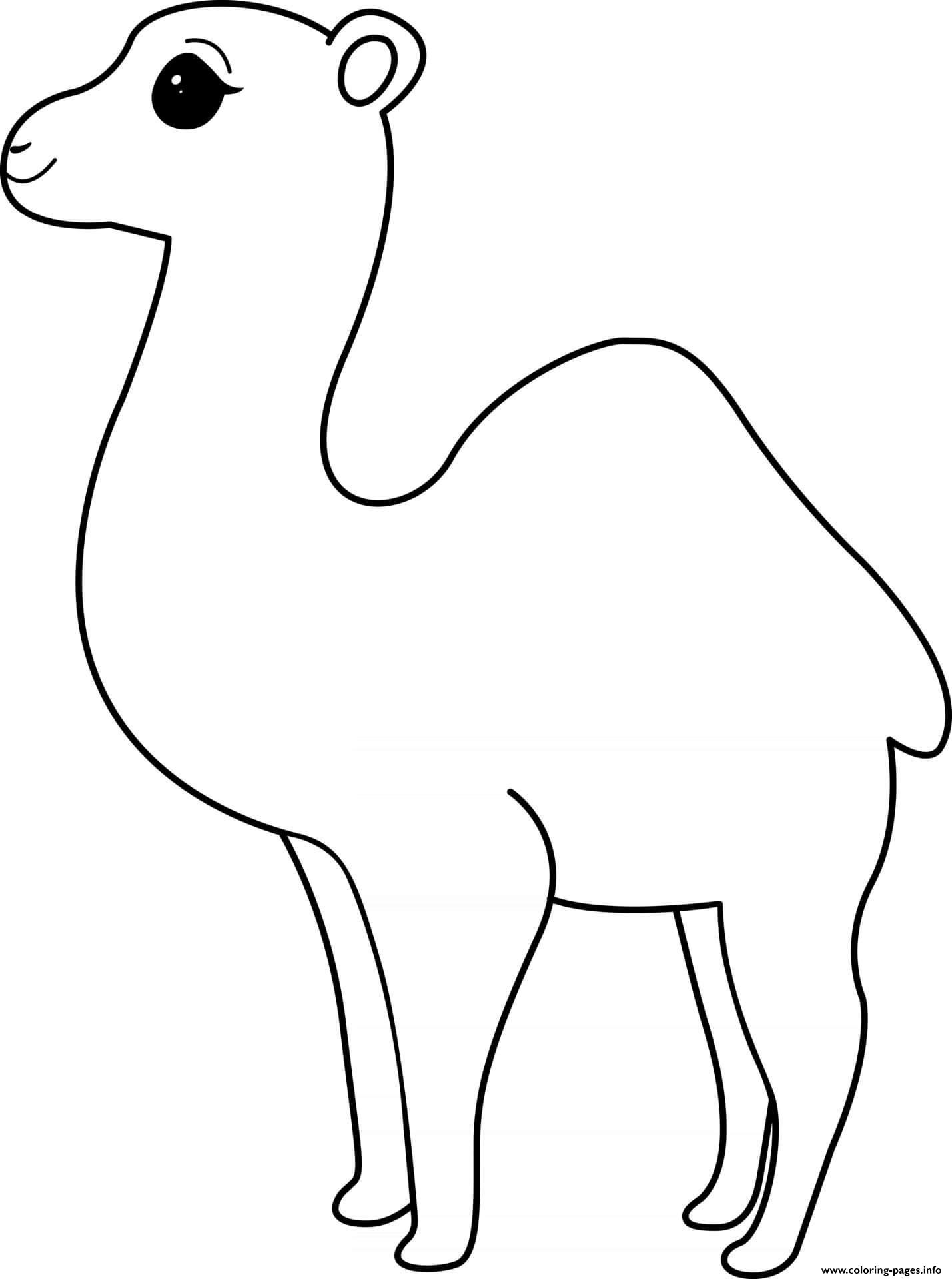 31 Exotic Camel Coloring Pages Printable 2